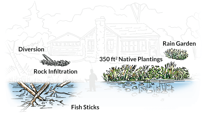 Illustration of five best practices used to improve lakeshore property, Illustration by Karen Engelbretson