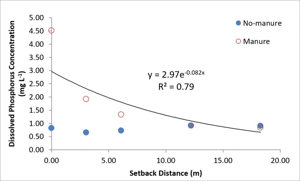Concentration of dissolved phosphorus in runoff as affected by setback distance for the manure and no-manure treatments.
