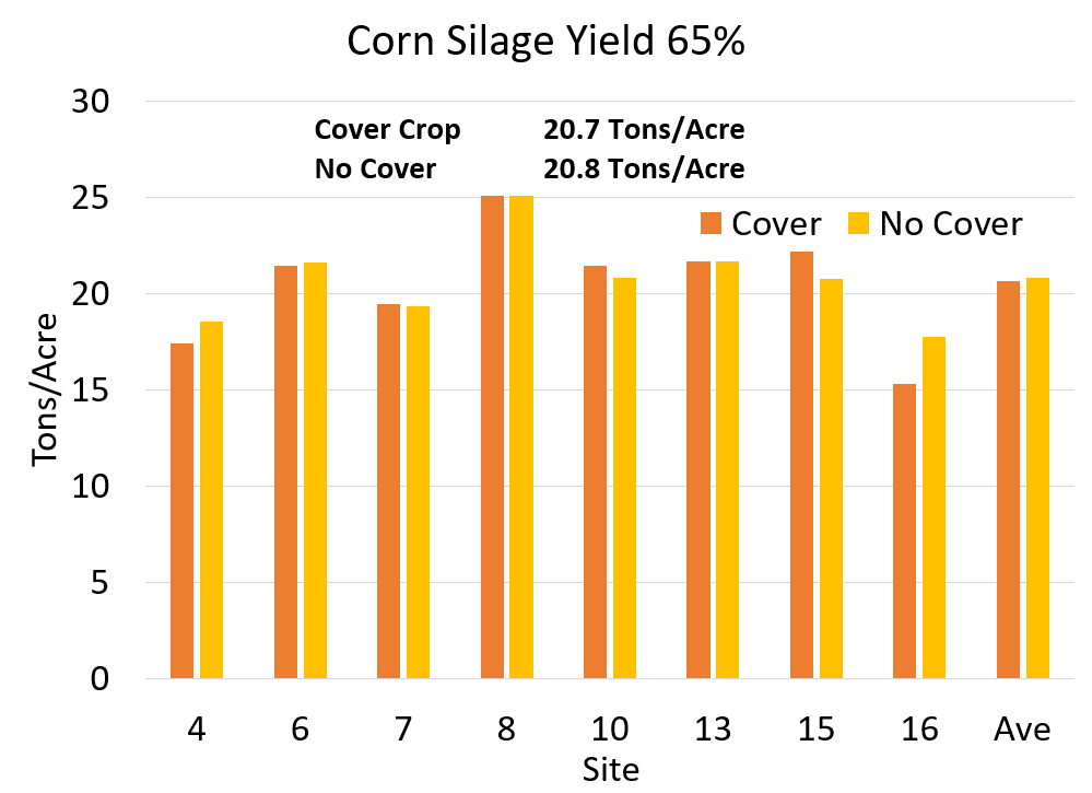 Corn silage yield adjusted to 65 percent moisture. Cover crop yielded 20.7 tons per acre whereas no cover crop yielded 20.8 tons per acre.