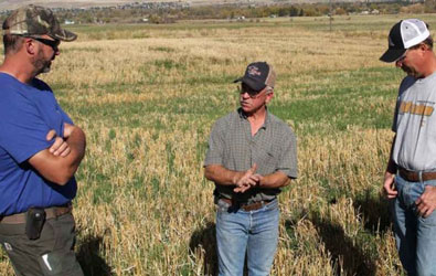Farmers sharing research findings