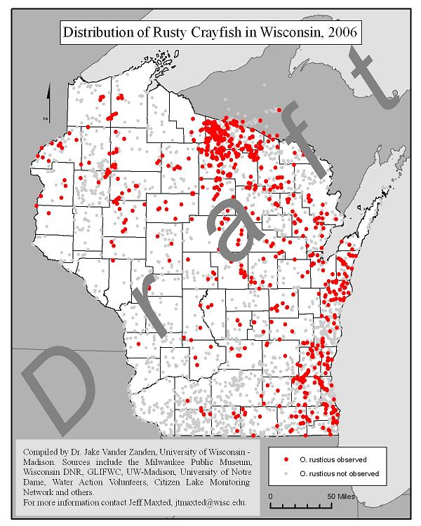 Rusty Crayfish distribution in Wisconsin map