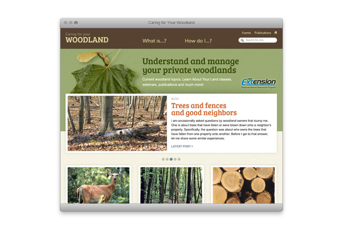 Carinf for your woodland website screen shot