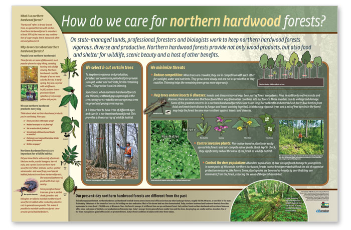northern hardwood care poster