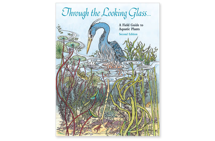 through the looking glass book